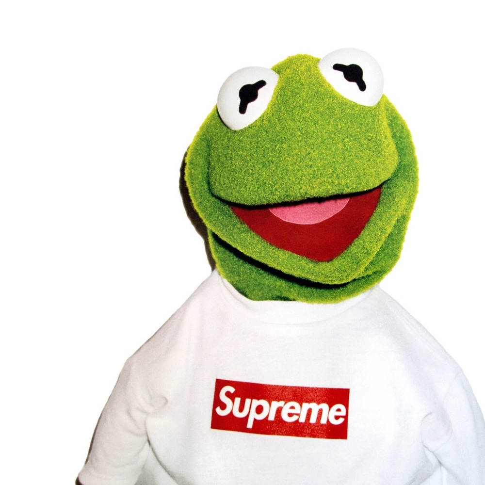 Meet your Posher, Dalton